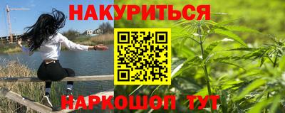 сатива Обь