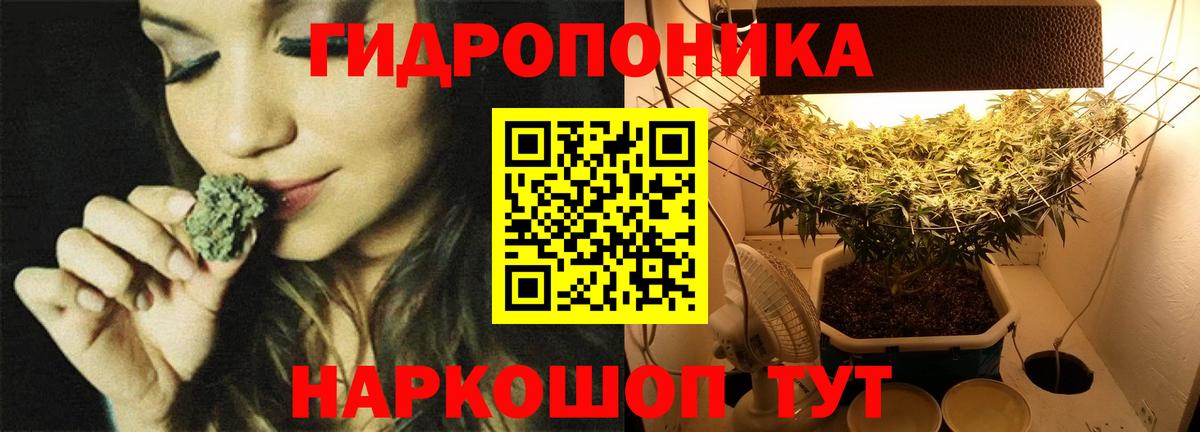Усинск  МАРИХУАНА гибрид  Вход с VPN  Марихуана OG Kush  Марихуана SATIVA & INDICA 